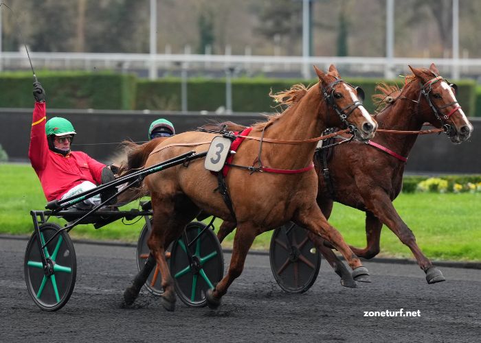 Le Spécialiste Du Tiercé