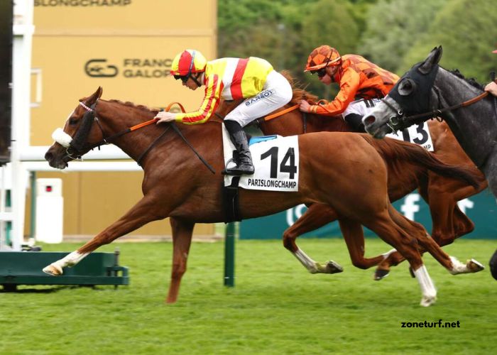 Paris Course Vip