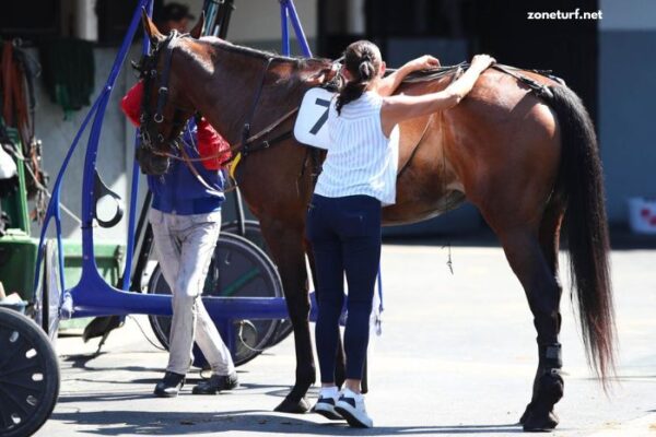 Paris Promise Turf