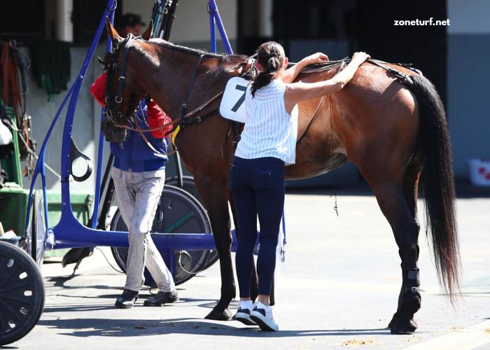 Paris Promise Turf