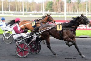Passage Oblige 100 % Gratuit (5)