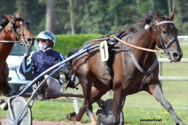 Programme Pmu DE Demain (1)