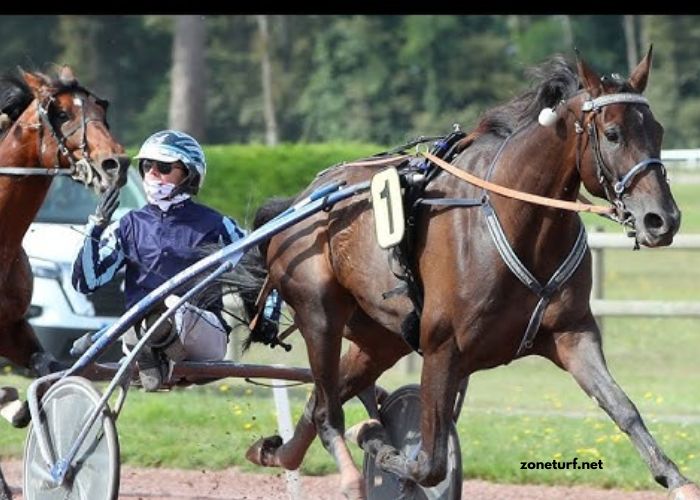 Programme Pmu DE Demain (1)
