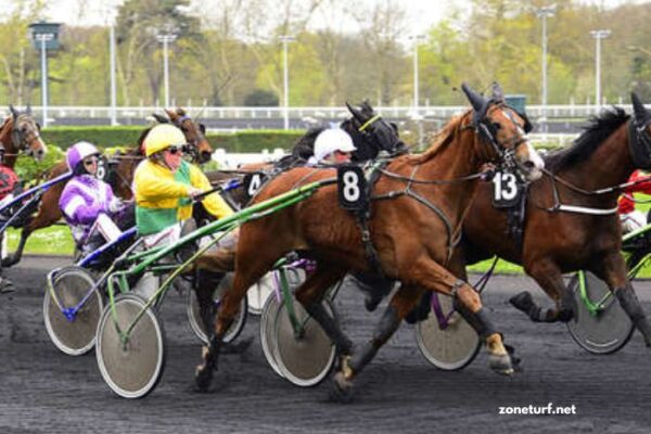 Roi Roi Du Tiercé