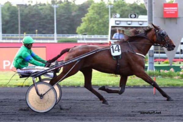Canalturf Du Jour Canalturf Du Jour