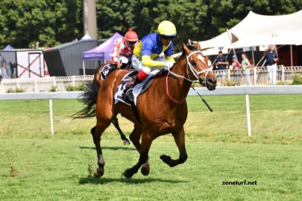 Good Hippique Turf