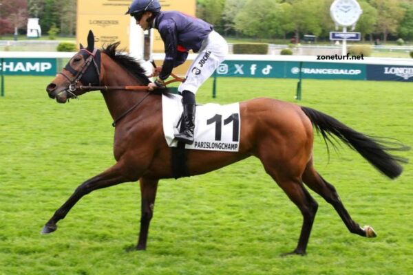 Turf Derniere Minute