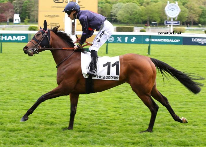 Turf Derniere Minute