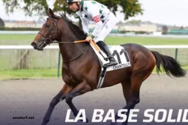 Turf Magique 3 Bases